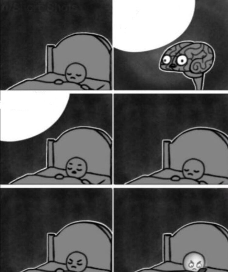 brain-before-sleep