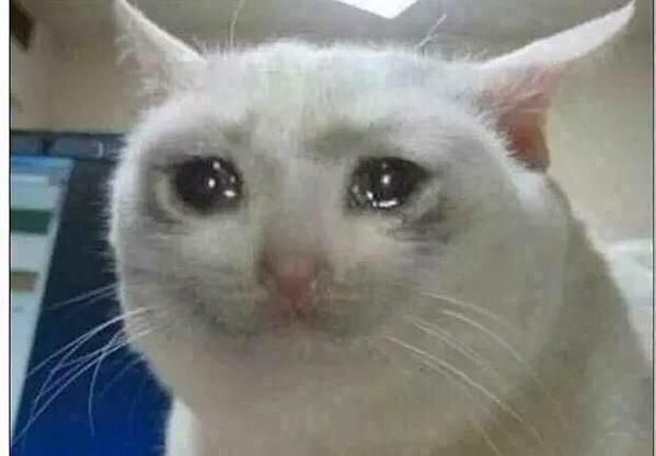 crying-cat