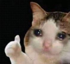 crying-cat