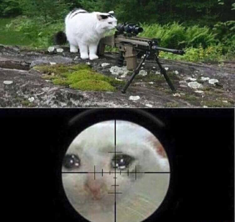 crying-cat