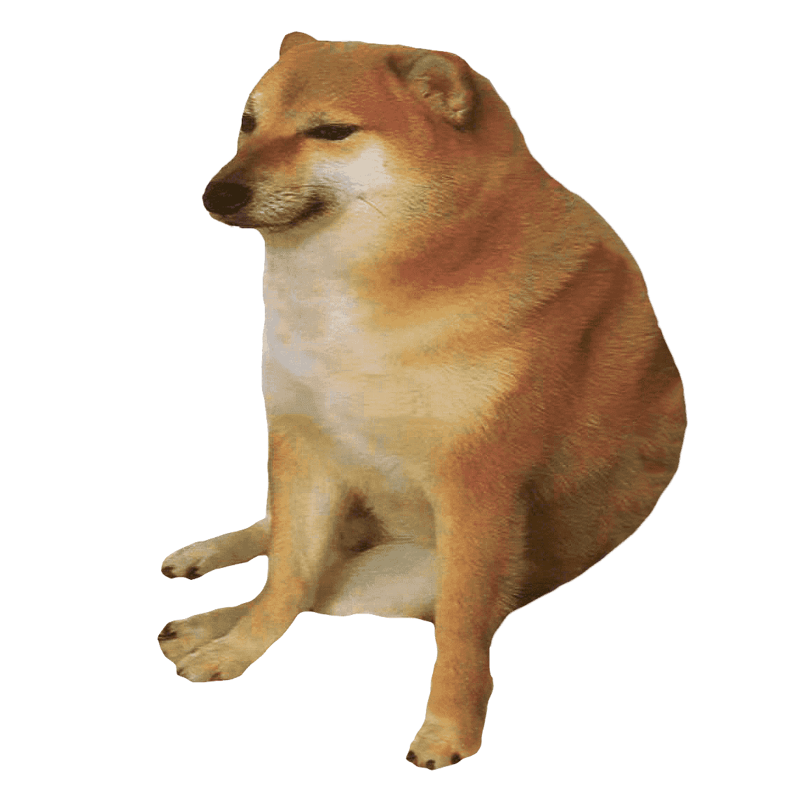 doge