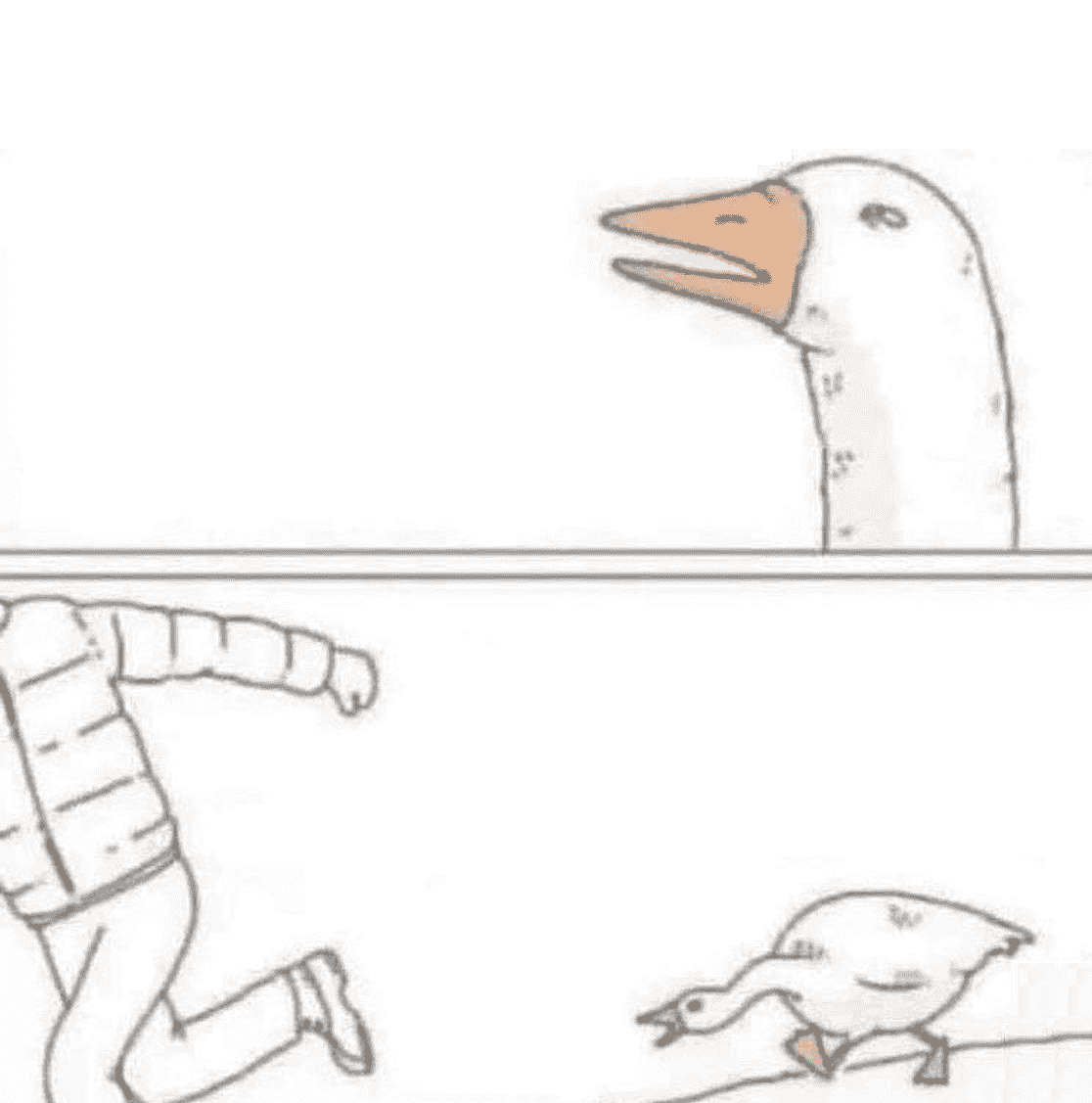 goose-chase