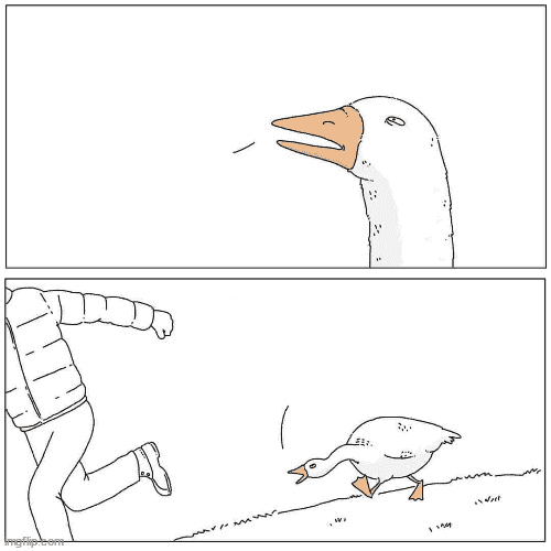 goose-chase