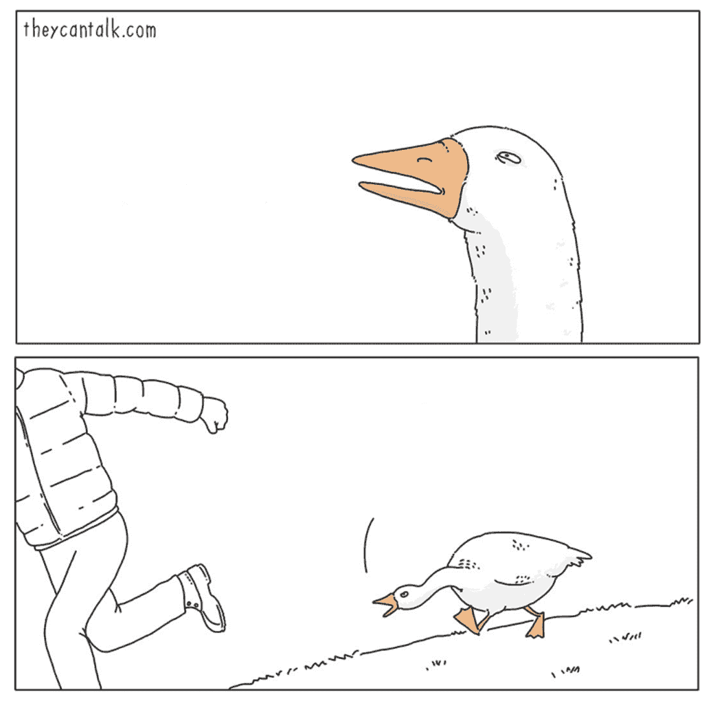 goose-chase