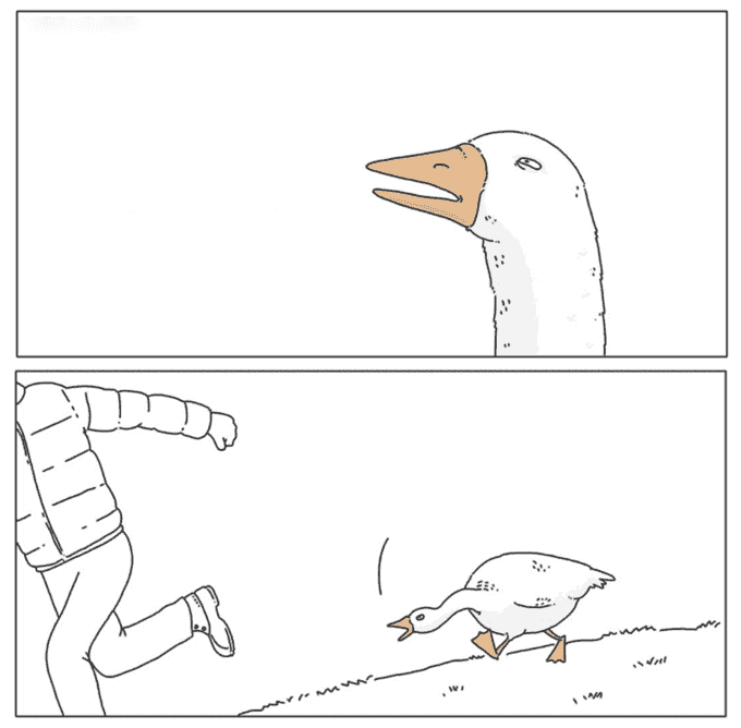 goose-chase