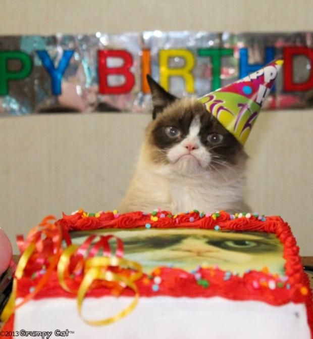 grumpy-cat