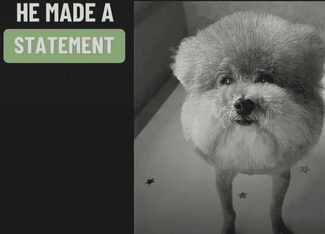 he-made-a-statement-blank