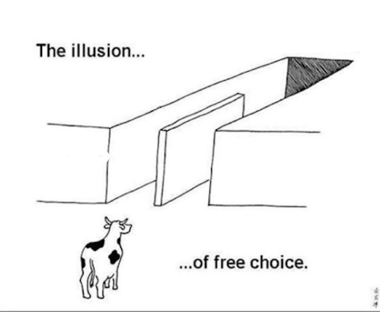 illusion-of-free-choice