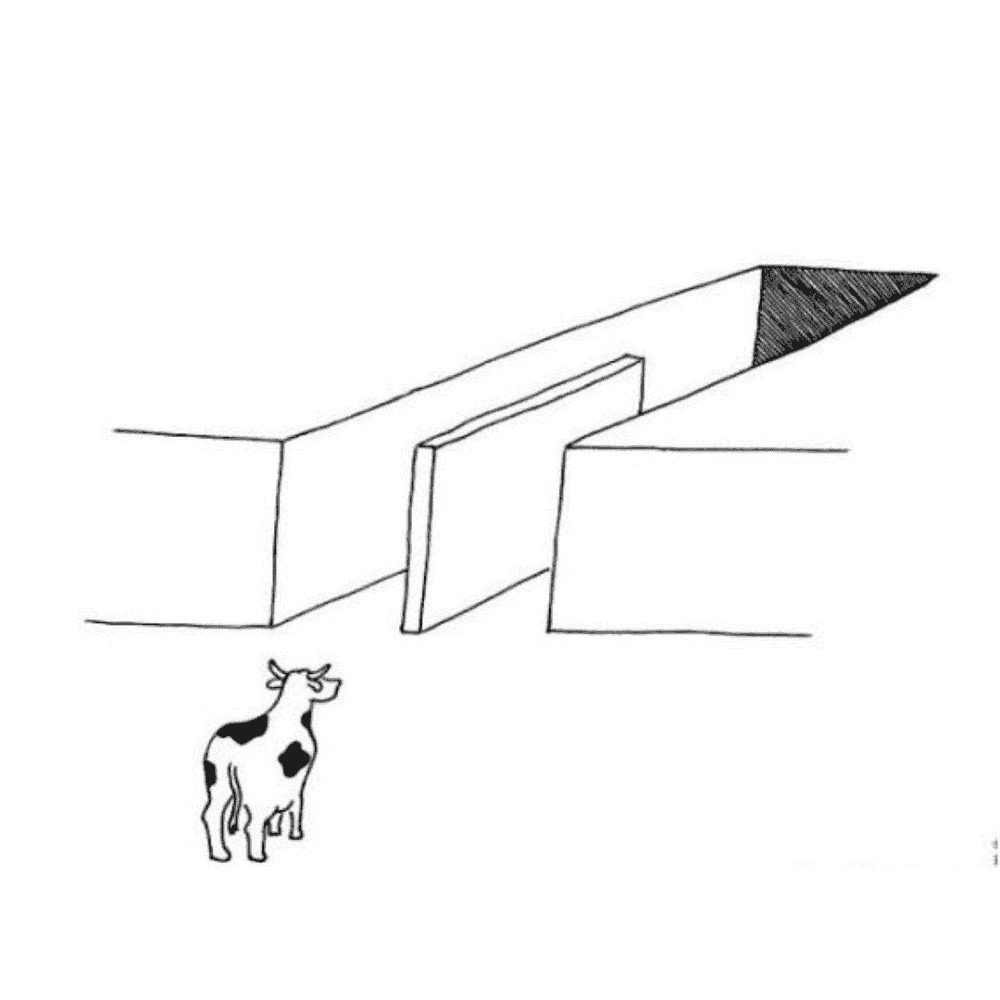 illusion-of-free-choice