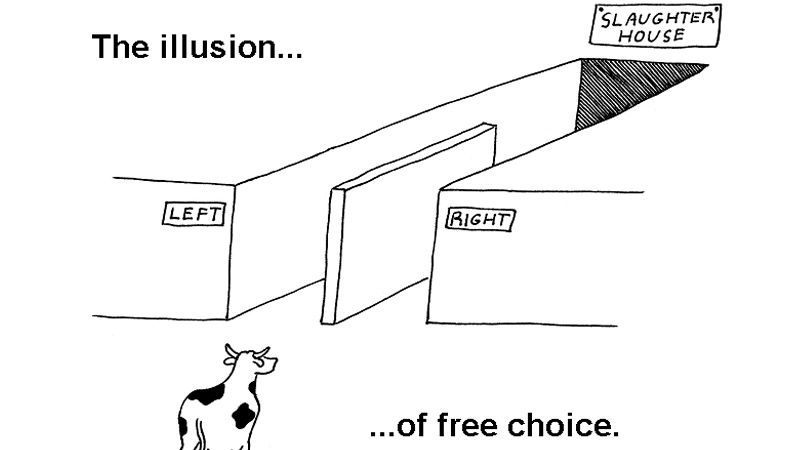illusion-of-free-choice