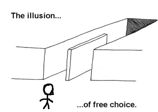 illusion-of-free-choice