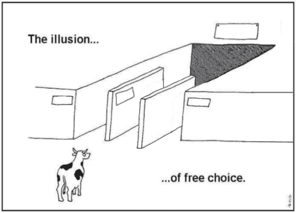 illusion-of-free-choice