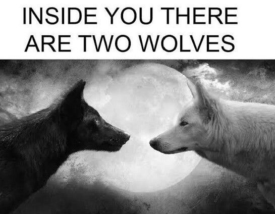 inside-you-there-are-two-wolves