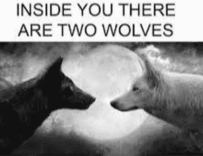 inside-you-there-are-two-wolves