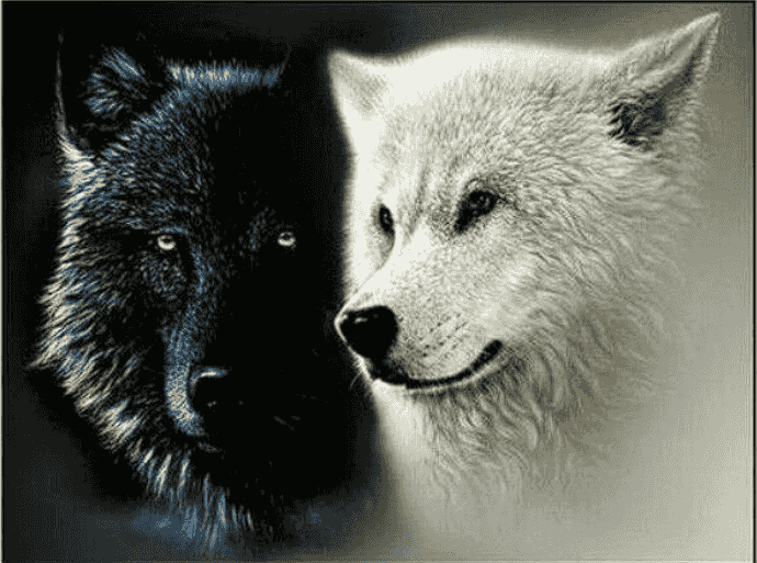 inside-you-there-are-two-wolves