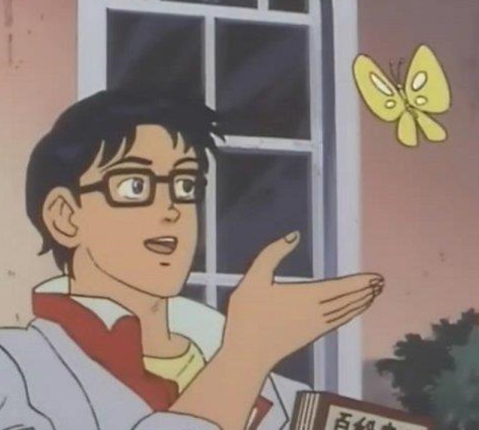 is-this-a-pigeon