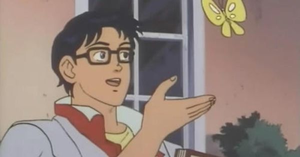 is-this-a-pigeon