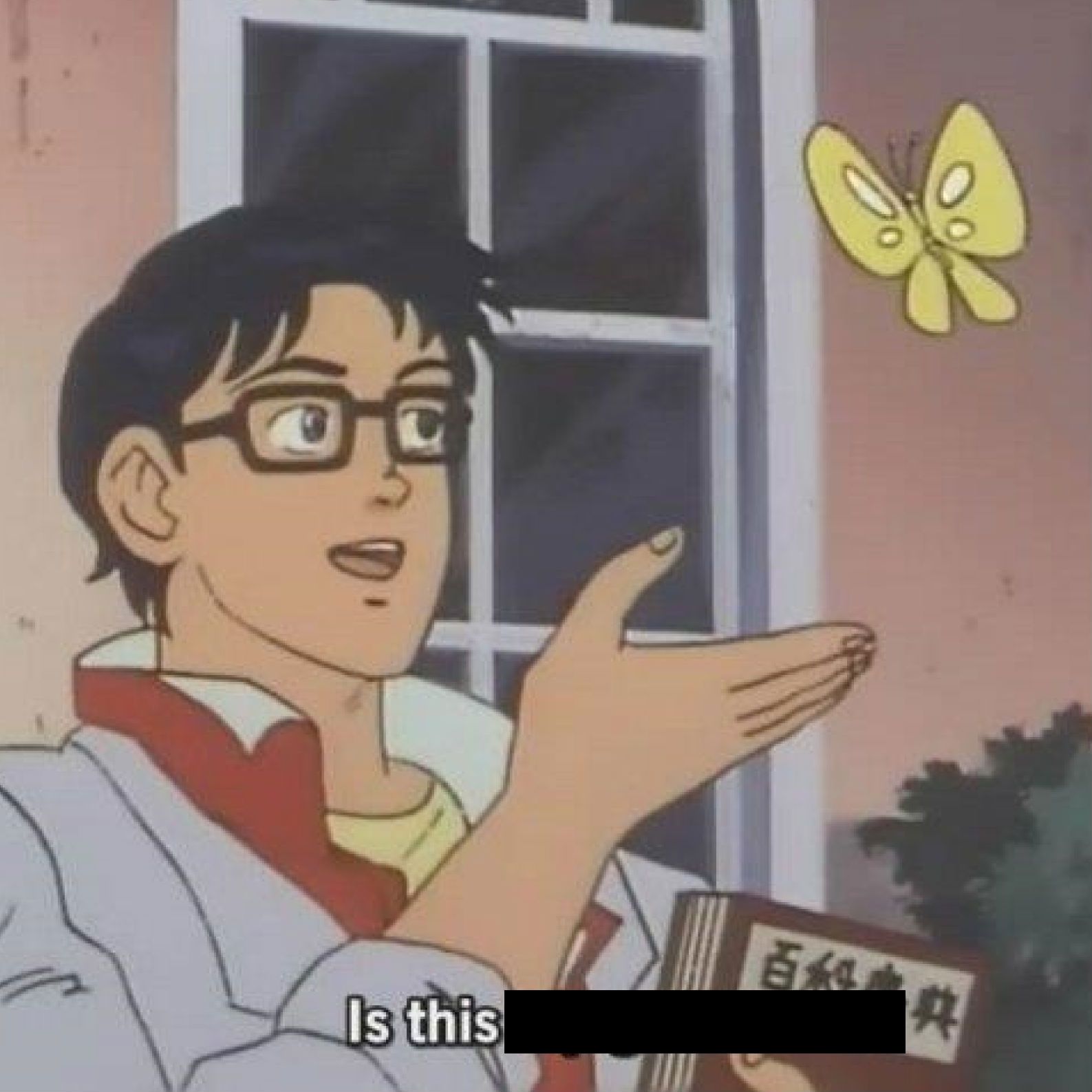 is-this-a-pigeon
