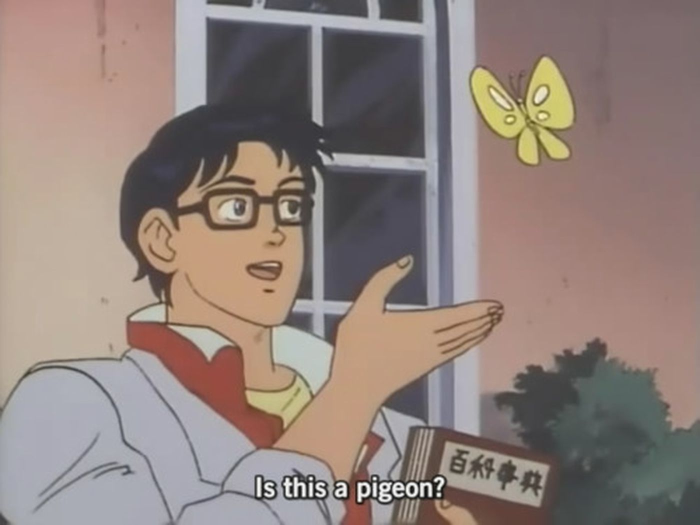 is-this-butterfly