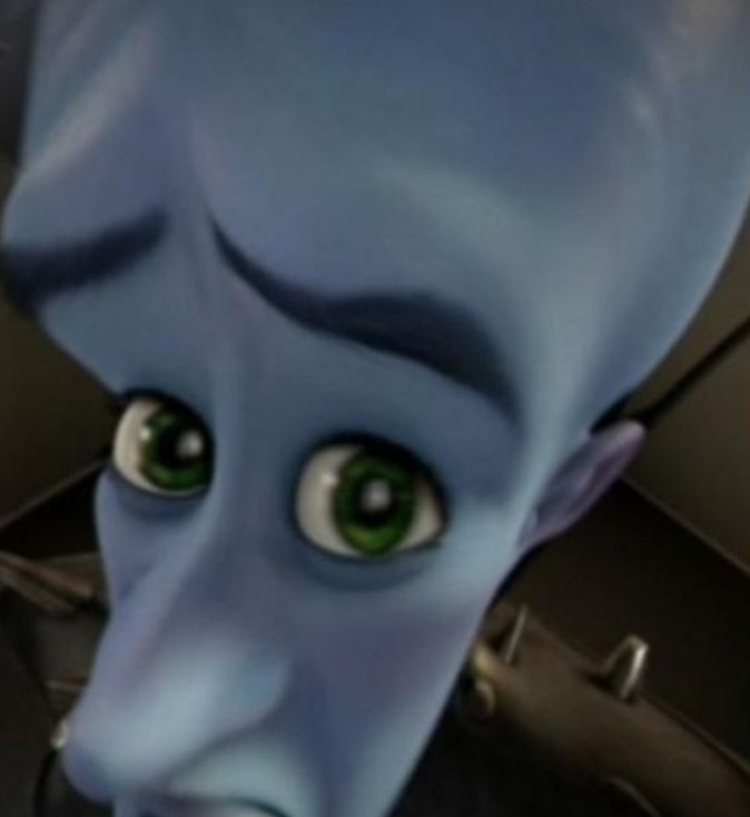 megamind-no-bitches