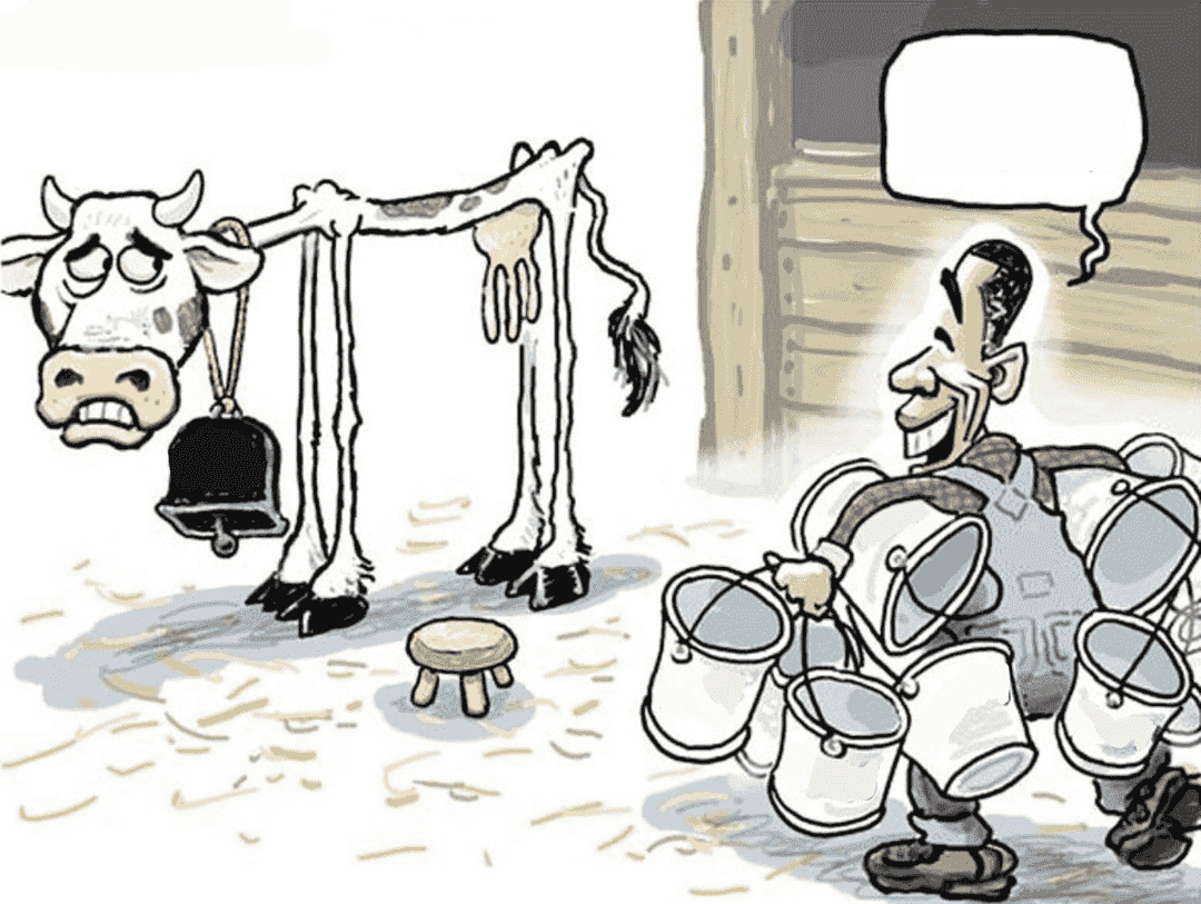 milking-the-cow