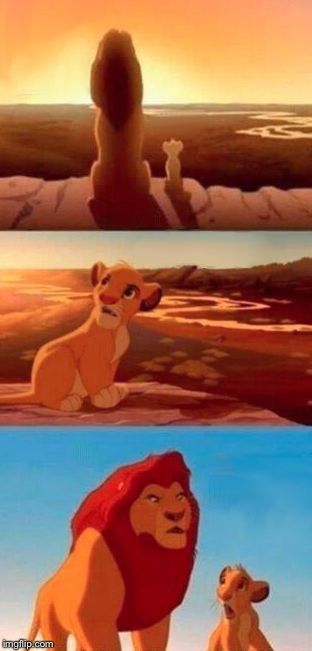 simba-shadowy-place