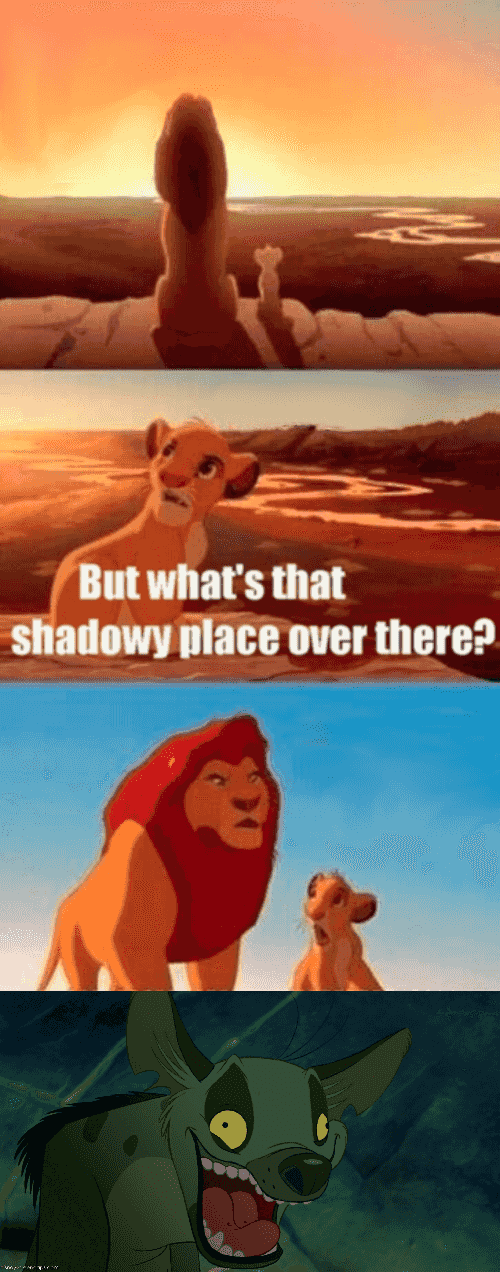 simba-shadowy-place