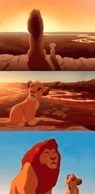 simba-shadowy-place