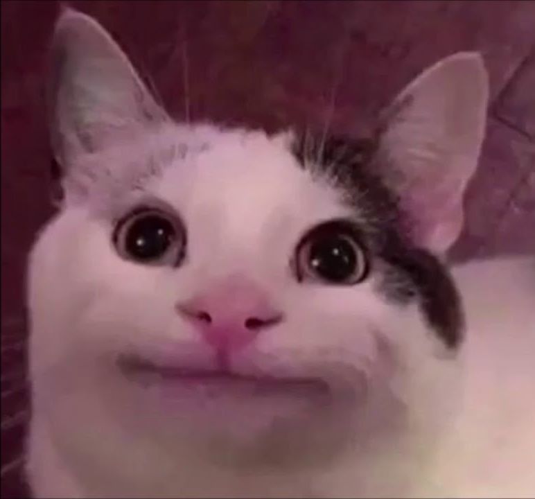 smiling-cat