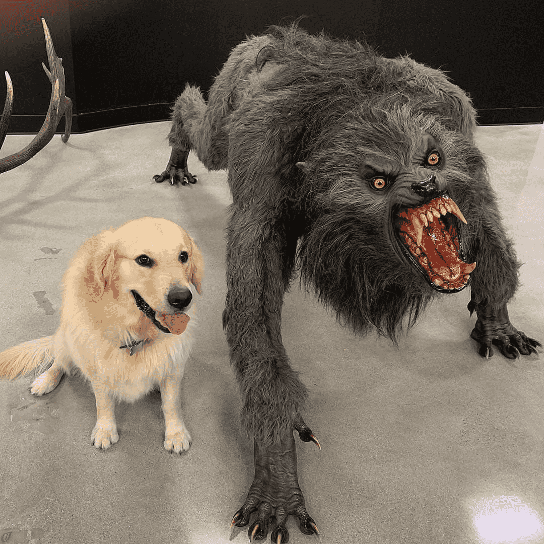 werewolf