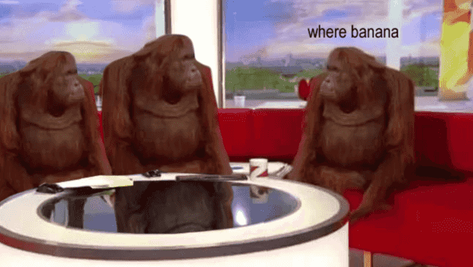 where-monkey