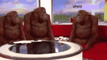 where-monkey