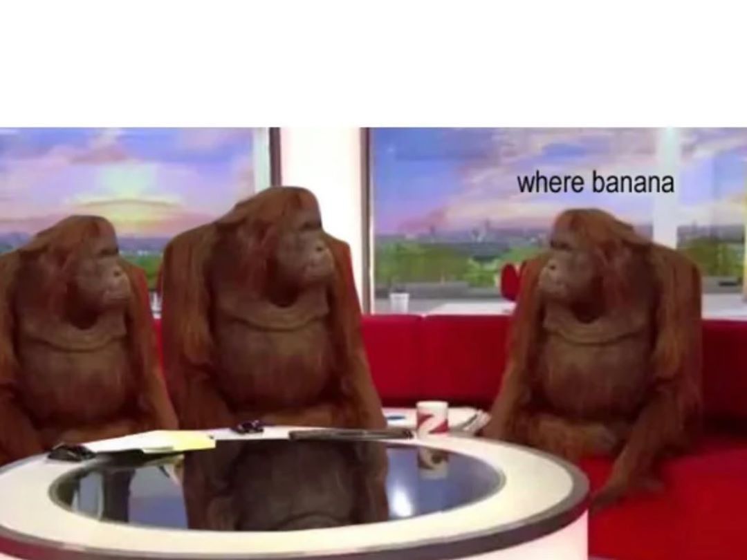 where-monkey