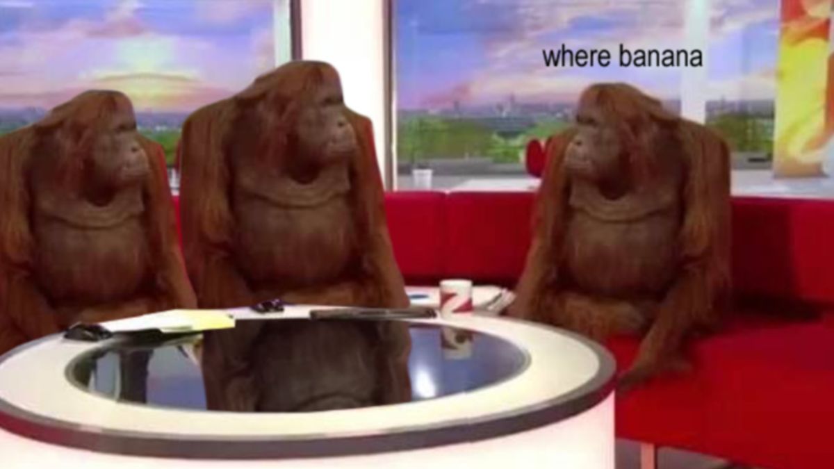where-monkey