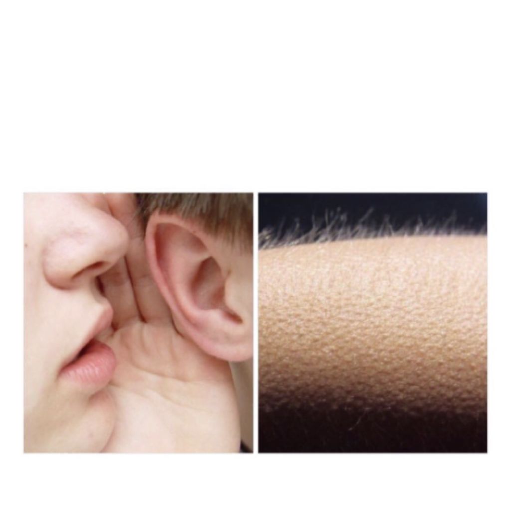 whisper-and-goosebumps