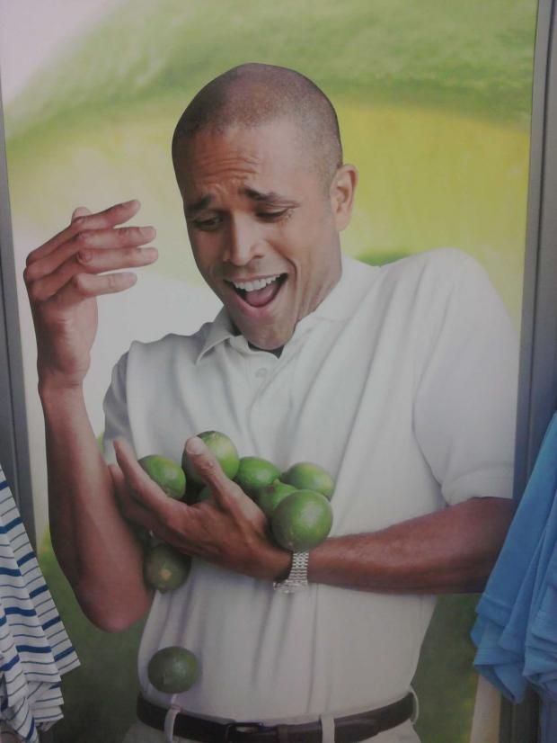 why-can't-i-hold-all-these-limes