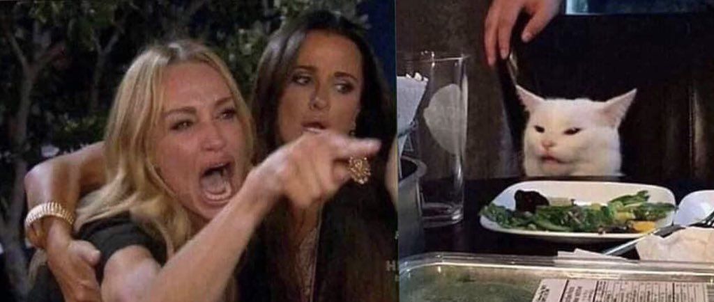 woman-yelling-at-cat