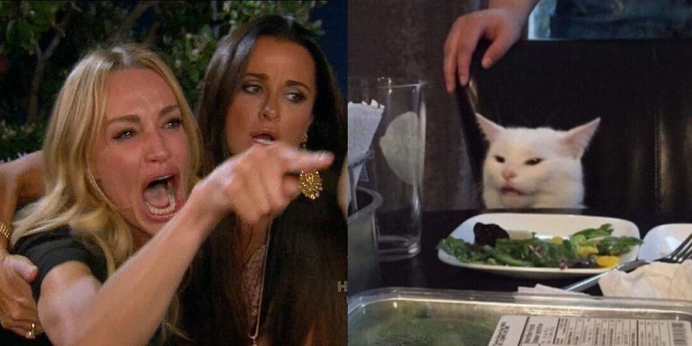 woman-yelling-at-cat