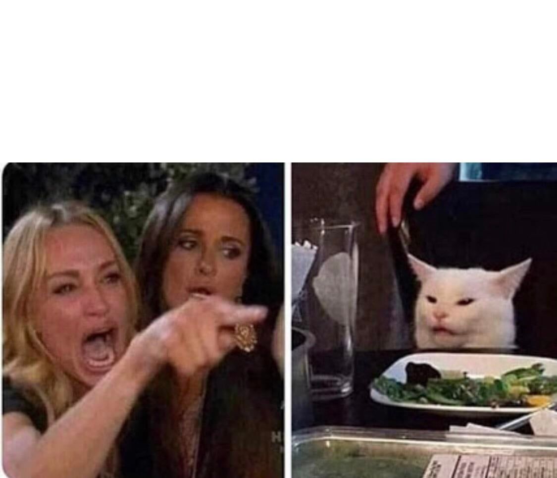 woman-yelling-at-cat