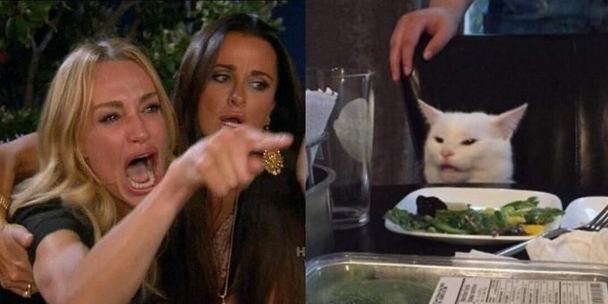 woman-yelling-at-cat